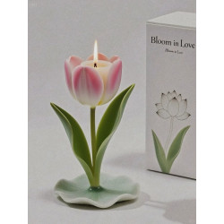 Bloom in love