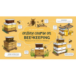 online beekeeping course
