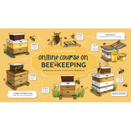 online beekeeping course