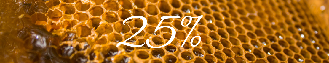 Discount for the purchase of 2 jars of 100% organic honey
