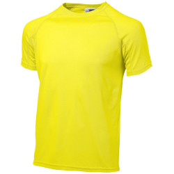Camiseta fito