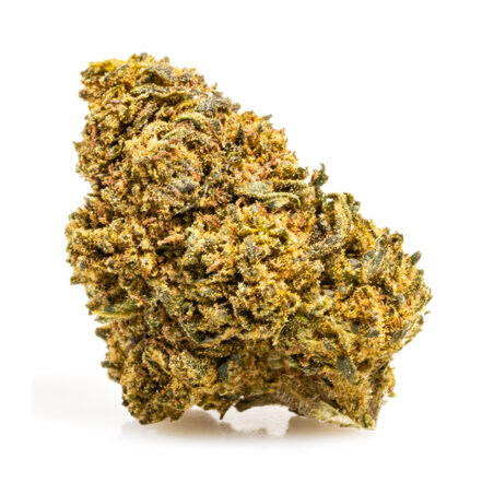 ¿ojala no haberl@ conocid@? amnesia es tu planta