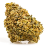 ¿ojala no haberl@ conocid@? amnesia es tu planta