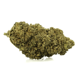 White Widow